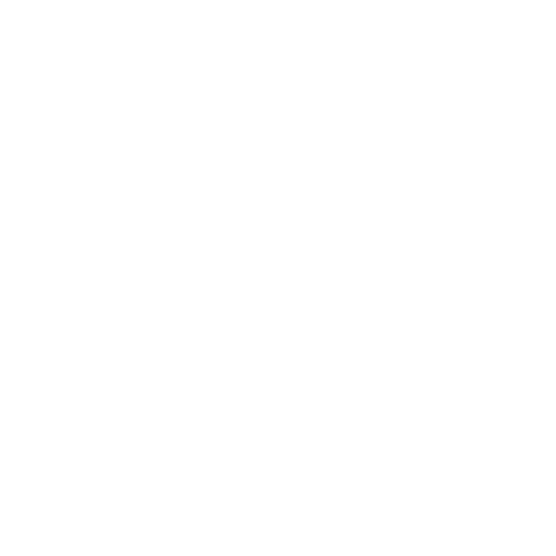 Customized Services