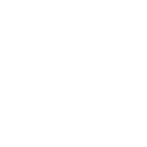 Customized Services